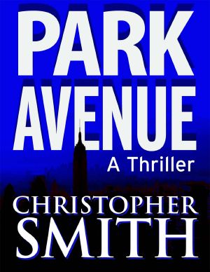 [Fifth Avenue 06] • Park Avenue